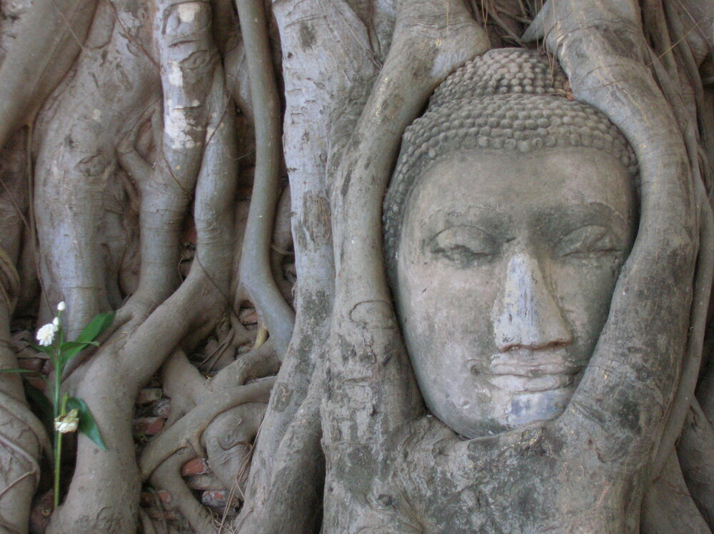 มรดกโลกในไทยนครประวัติศาสตร์ พระนครศรีอยุธยา (Historic City of Ayutthaya)